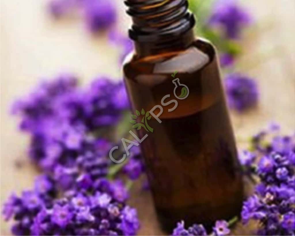 Buy 100% Pure Lavender Brown Absolute Oil